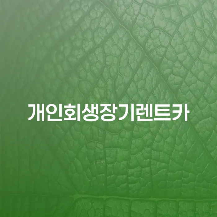저금리채무통합대출 연체 시 빚청산 있다면