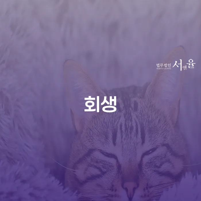 개인회생신청서류 연체 채무 신속해결방법 간편비교