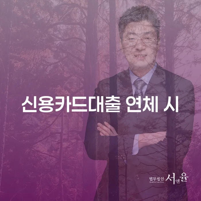 개인회생법무사비용 대출 연체 개인회생 결정나고