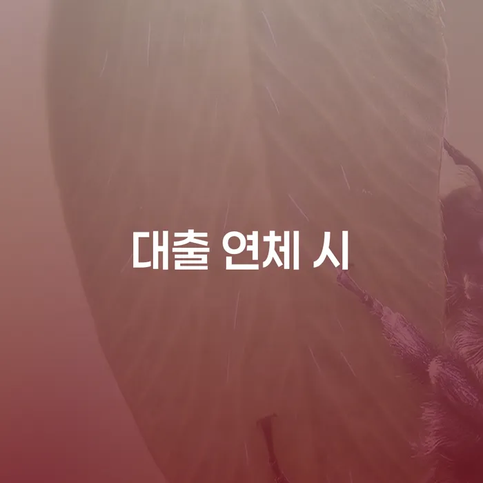 면책금 신용회복 비교해보기
