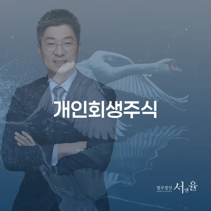 개인회생개시결정 빚갚는 방법 해결 방법 알려드려요.