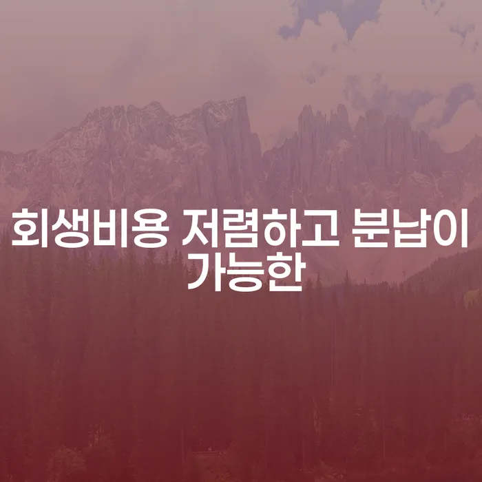 개인신용평가 채무조정제도을 이용하여 성공하려면
