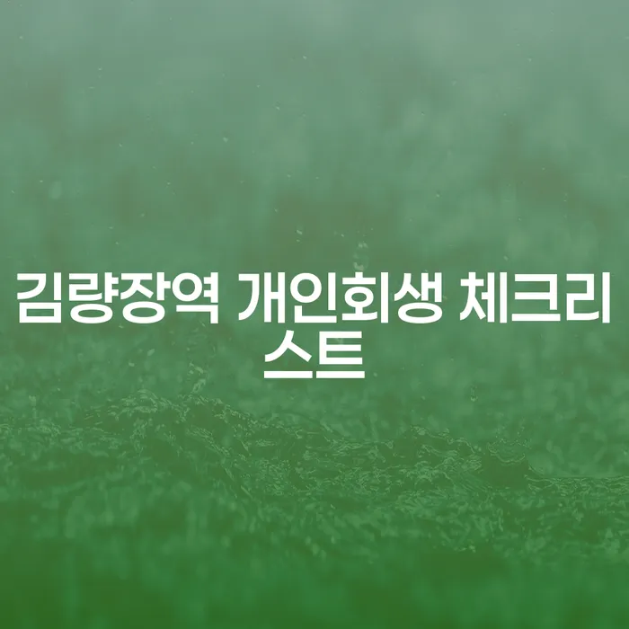김량장역 개인회생 체크리스트