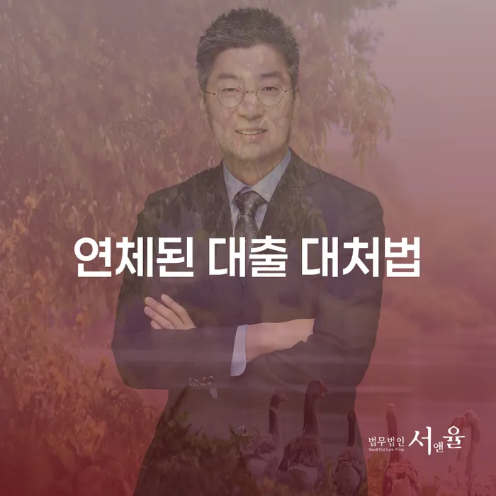연체된 대출, 어떻게 대처해야 할까요?